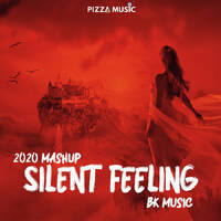 Silent Feeling Mashup 2020 | BK | Pizza Music by Pizza Music