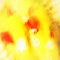 The Legendary 1979 Orchestra - Exclusive Nightflight Guest Mix - 15.07.14 by Tobias Koch - Nightflight - Radio FRITZ