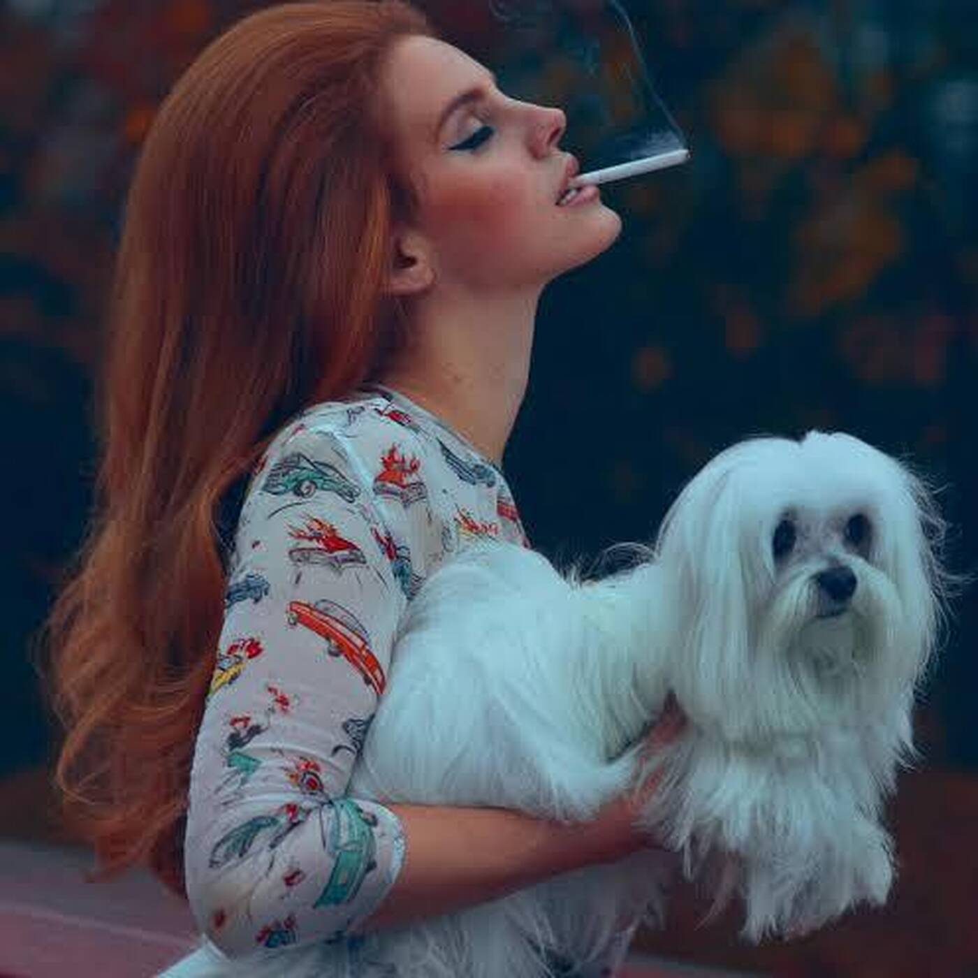 Lana del Rey — La French P@rty cover