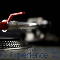 (RE) Experience 11 (Remasters) by sysense