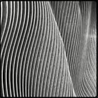 Status Anxiety has Become the Lifeblood of Modern man by SIRQBASS