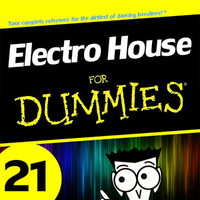 Electro House for Dummies 21 by Kill Yourself