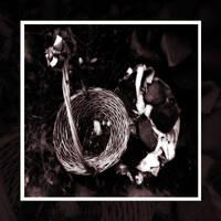 NAISA RADIO - MUSIC, OR NOISE? BROADCAST 40 by Bepi Crespan