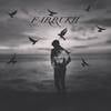 DJ Farrukh