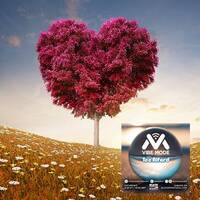 07.02.26 VIBE MODE by Tee Alford