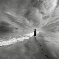 Tender Flowers by Aunt B