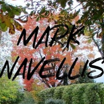 Mark Navelli's