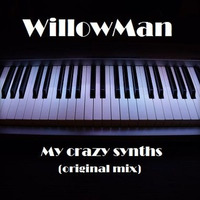 My Crazy Synths (original Mix) by WillowMan
