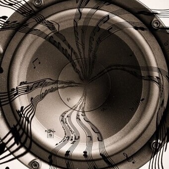 Łukasz Noga Mark Wentis