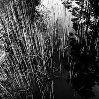 copernicus - highway to house - episode 120 by copernicus