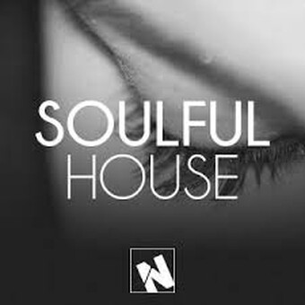 mr soulfulhouse