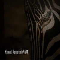Kemmi Kamachi # 541 by Kemmi Kamachi