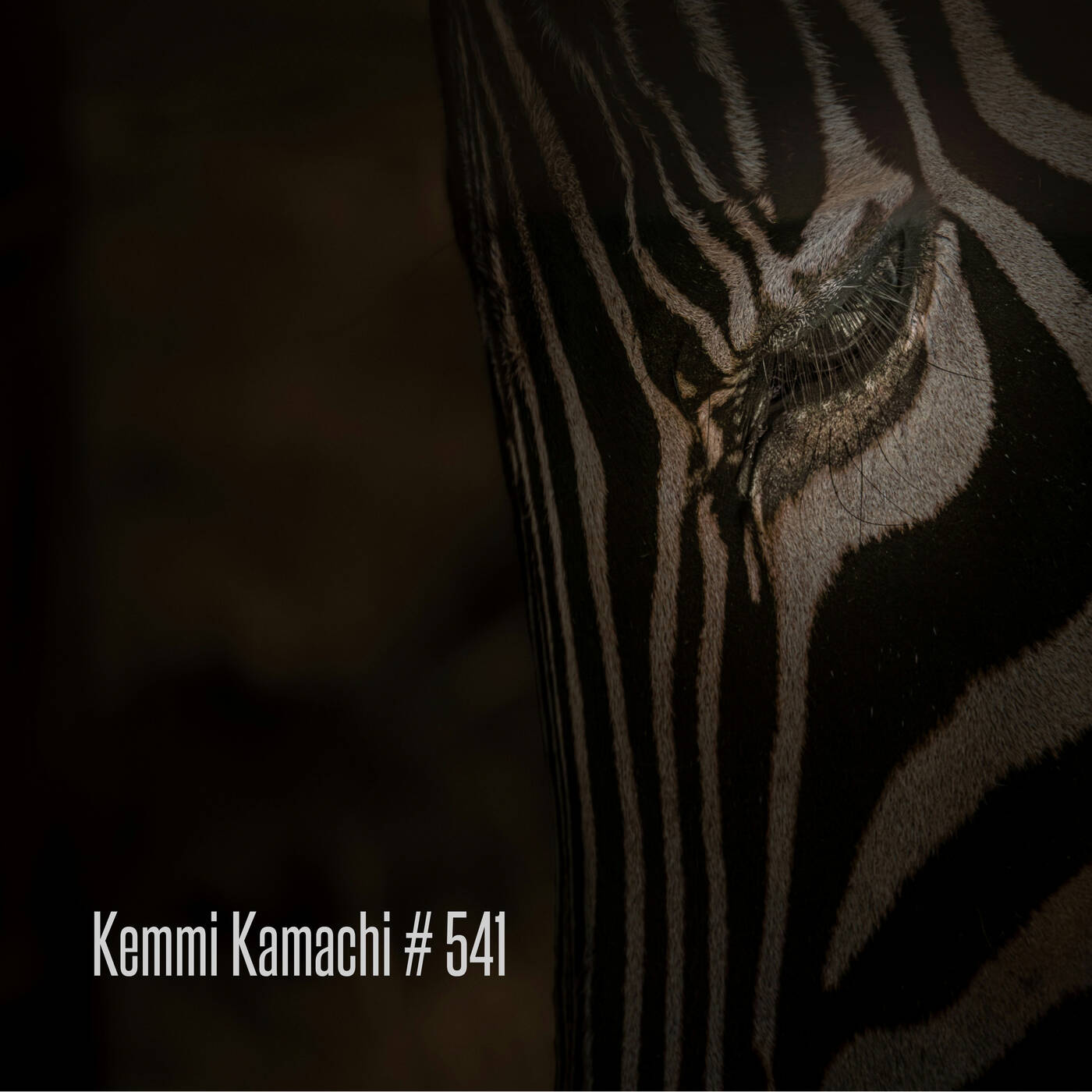 Kemmi Kamachi # 541 — Techno Music  cover