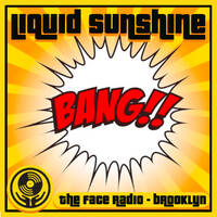 Midnight House Chronicles - Liquid Sunshine @ The Face Radio - Show #248 by Liquid Sunshine