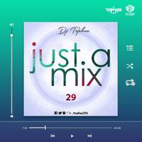 DJ TOPHAZ - JUST A MIX 29 by Tophaz