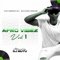The Essential Mixtape Series - Afro Vibez Vol.1 by DJ Mutu