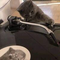 Musical Bliss Sessions 75 - Birthday Mix by Ian Principal