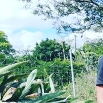 BOngo Dyili