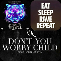 In Jungle Eat Sleep Rave Repeat Don't You Worry (Jun Hao's Great Transitions Mix) by J-HAO