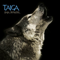 Taiga [Free Download] by Baba Sikander