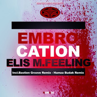 RUNS30 : Elis M. Feeling - Embrocation (Hamza Budak Remix) Sale 25/06/16 by runrecords