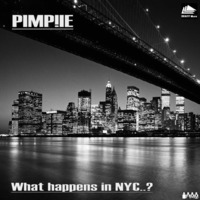 PIMP!IE - What happens in NYC (Radio Edit) by .