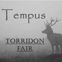 Tempus - "Torridon Fair" by El Greebo & The Tempus Collective