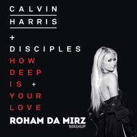 How deep is your love - Roham Da Mirz Privat Mashup by DJ Roham Da Mirz