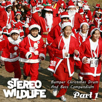 Bumper Christmas Drum And Bass Compendium Part 1 by Stereo Wildlife