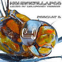 Neurocollapse 04 Mixed by Mr.Spooky Terror by TOM NEWMAN aka MR.SPOOKY TERROR