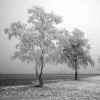 Shadows In My Mind | Deep &amp; Techno by Johnny M