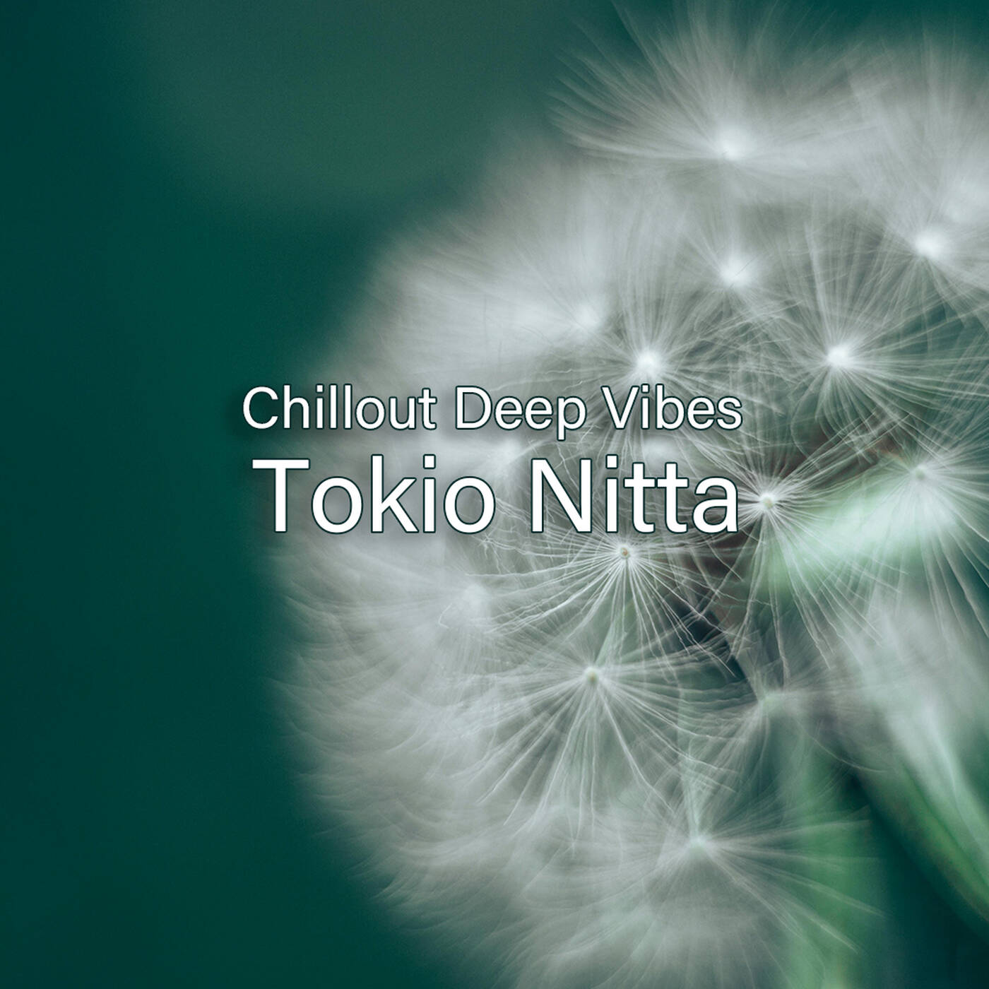 Tokio Nitta - Chillout Deep Vibes 0167