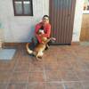Raul Ortiz