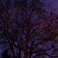 Structures Of Synthesis (Human-made) by Michu-Pichu