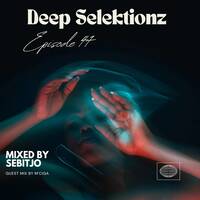 Deep Selektionz episode47 mixed by Sebitjo by Deep Selektionz