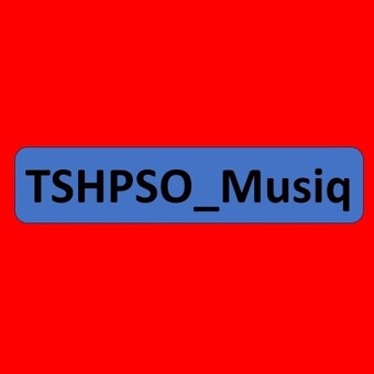 TSHPSO_Musiq