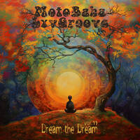 MotoBaba LuvGroove - Vol.11 Dream The Dream CD2 by MotoBaba