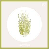 Bunte Kuh Podcast #57 - Bardia Salour by Electronic Beatz Network