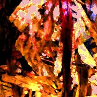 Dreamy sunday by Gérard Delassus