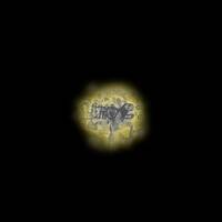 Final_Chin - Love(rmx) by ERROR.WTF
