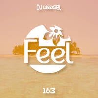 DJ Weasel Presents Feel #163 by nweasel