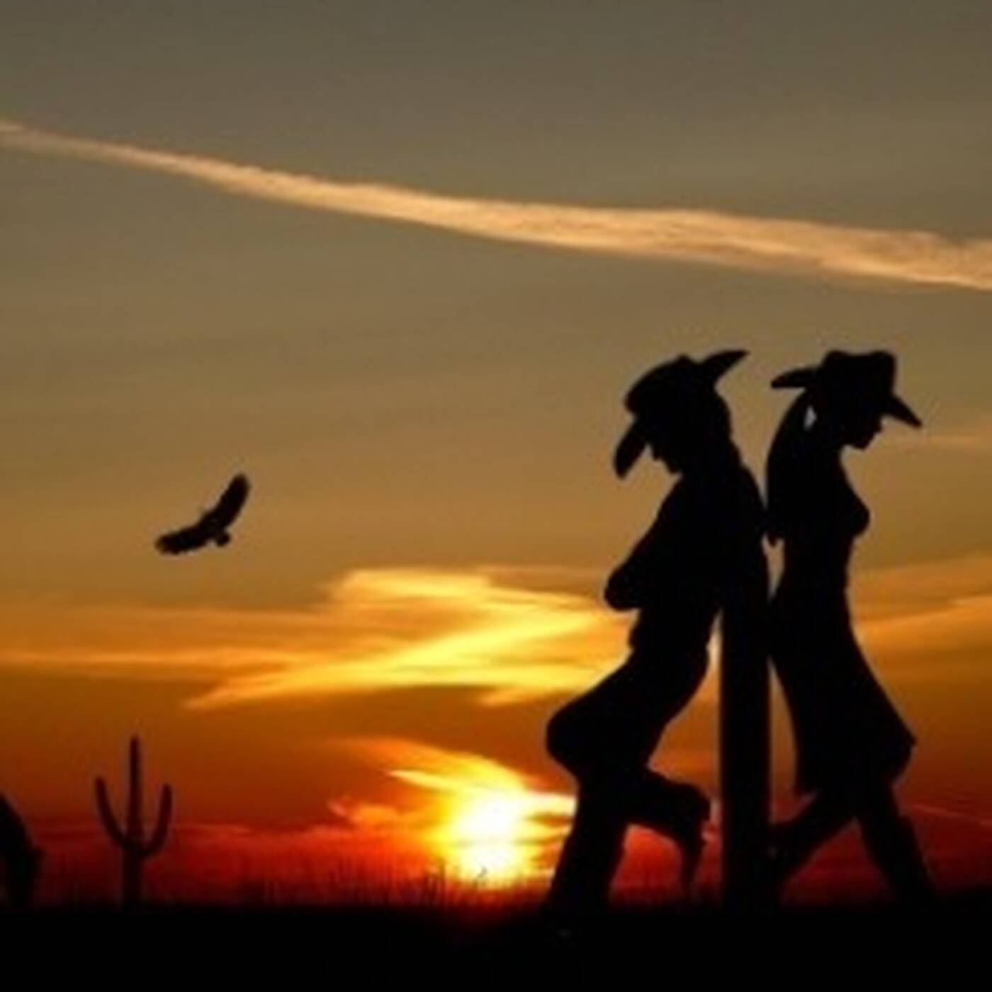 COUNTRY LOVE SONGS BY DJ CARLOS HENRIQUE episode artwork