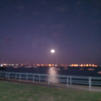 Thami Thamisele Misele