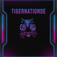 HouseTiger - End of the year 2015 - The Hardstyle Edit by DerWachner