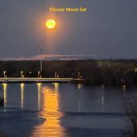 JFF 961 – Flower Moon Set by Johanne G Gagnon