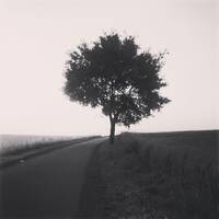 Benjamin Kliemann - No Sync Needed No. 4 by Benjamin Kliemann