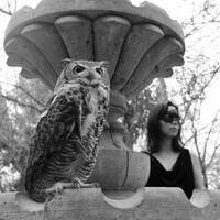 27/88 Yo me perdía en el oscuro fulgor (Fantasmas) by Elko Omar Vazquez Erosa