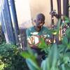 Mfundo Pitsi Ngubane