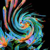 Approximations somnambulesques by Gérard Delassus