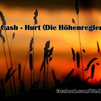 Johnny Cash - Hurt (Die Höhenregler Remix) --> FREE DOWNLOAD <-- by Die Höhenregler